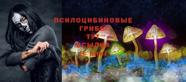 меф Ладушкин