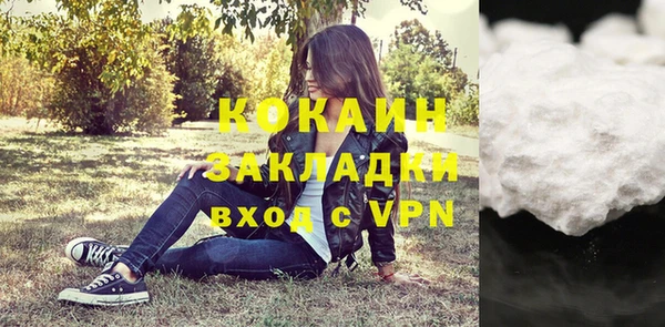 шишки Кулебаки