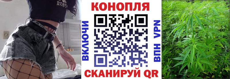 Бошки марихуана план  купить наркоту  shop официальный сайт  Магас 